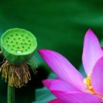 28国际平台的社交交易功能如何提升收益 01yt4cy