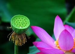 28国际平台的社交交易功能如何提升收益 28国际平台的社交交易功能如何提升收益