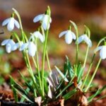 28国际与教育合作:培养全球人才的途径 0bvgm