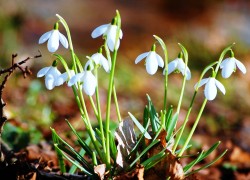 28国际与教育合作:培养全球人才的途径 28国际与教育合作:培养全球人才的途径