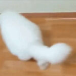 了解28国际平台的安全性与用户保护措施 0tiw5pui0