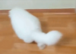 了解28国际平台的安全性与用户保护措施 了解28国际平台的安全性与用户保护措施