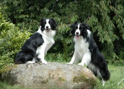 28国际在科技创新领域的角色与贡献 28国际在科技创新领域的角色与贡献