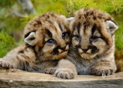 28国际娱乐:带你领略多样化的娱乐项目 28国际娱乐:带你领略多样化的娱乐项目