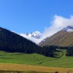 如何利用28圈H5进行在线调查与反馈收集 qzr27q