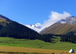 如何利用28圈H5进行在线调查与反馈收集 如何利用28圈H5进行在线调查与反馈收集