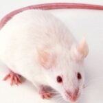 28国际平台:全球用户共享的在线交易新选择 tnijgts0