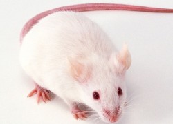 28国际平台:全球用户共享的在线交易新选择 28国际平台:全球用户共享的在线交易新选择