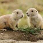 28国际平台的创新功能:提升交易效率的利器 wk3yr