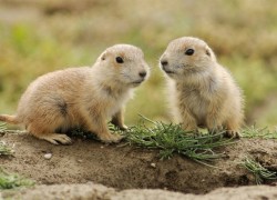 28国际平台的创新功能:提升交易效率的利器 28国际平台的创新功能:提升交易效率的利器