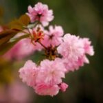 28圈H5在活动策划中的应用与成功案例 y15ibwh1q