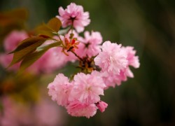 28圈H5在活动策划中的应用与成功案例 28圈H5在活动策划中的应用与成功案例